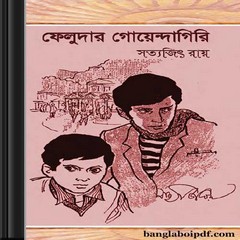 Feludar Goyendagiri ebook