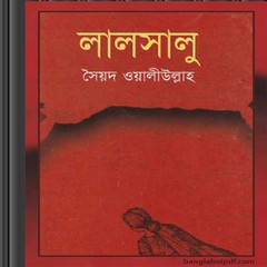 LalSaloo by Syed Waliullah pdf