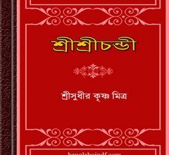 Sri Sri Chandi by Sudhir Krishna Mitra ebook