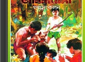 Pujabarshiki Anondomela Galpasankolan ebook